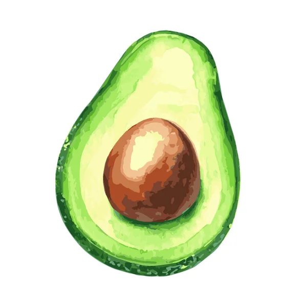 Eine Vektorillustration Einer Grünen Avocado Isoliert Auf Weißem Hintergrund — Stockvektor