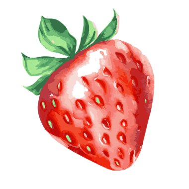 Beyaz arkaplanda yeşil yapraklı kırmızı bir çileğin vektör çizimi