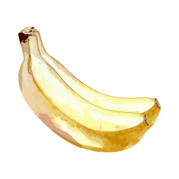 Par Hermosas Acuarelas Amarillas Vector Plátanos Aislados Sobre Fondo Blanco — Archivo Imágenes Vectoriales