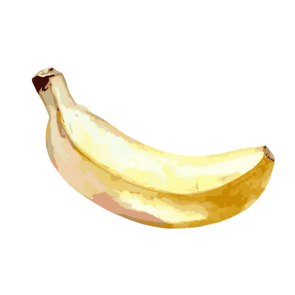 Vacker Akvarell Gul Vektor Bananer Isolerad Vit Bakgrund — Stock vektor