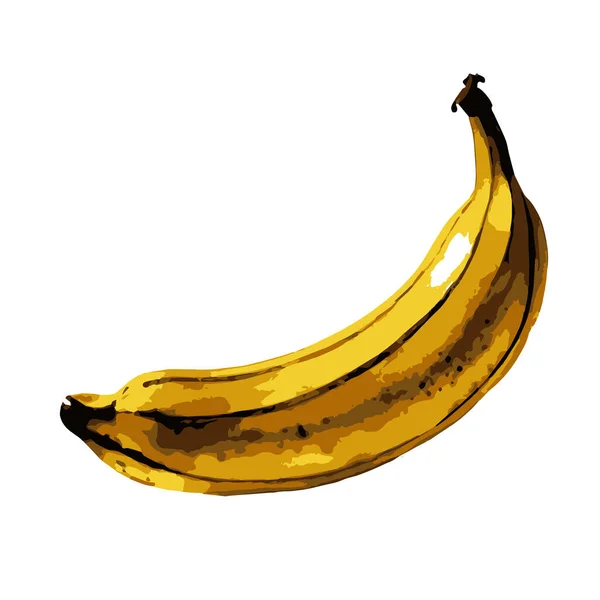 一个美丽的水色黄色的向量香蕉孤立在一个白色的背景 — 图库矢量图片