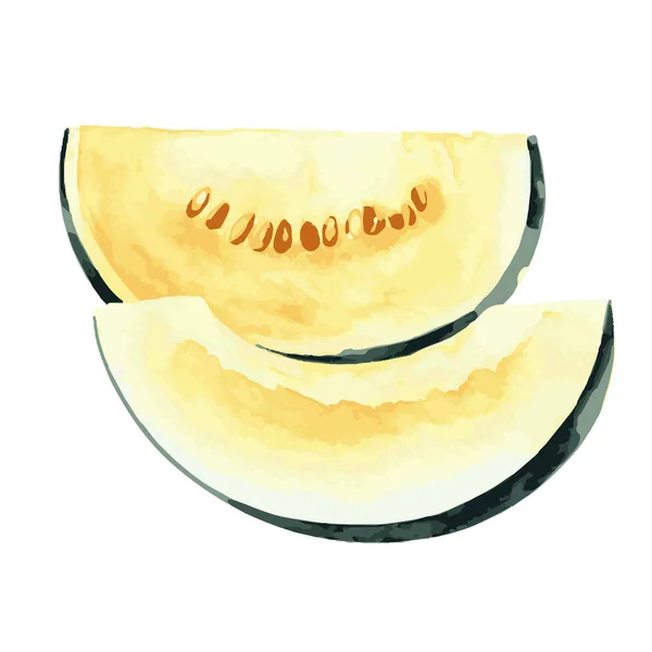 Vektorový Akvarel Ilustrace Čerstvých Plátků Žlutý Meloun Izolovaný Bílém Pozadí — Stockový vektor