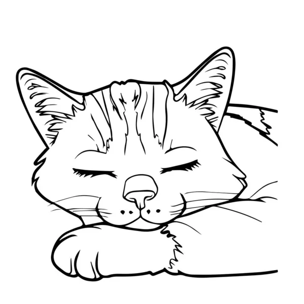 Ręcznie Narysowany Czarny Wektor Ilustracja Portret Pięknej Zabawy Dorosły Kot — Wektor stockowy