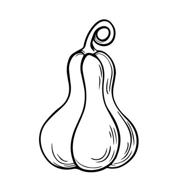 Beyaz arka planda izole edilmiş dekoratif bir balkabağının güzel bir tasviri.