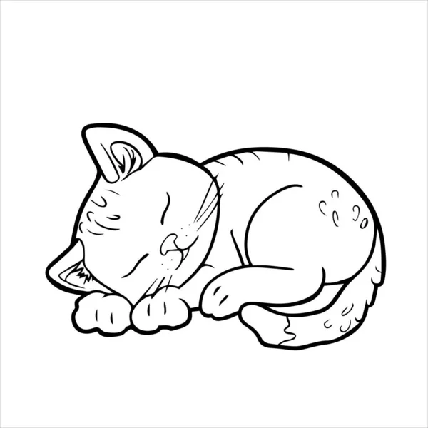 Ručně Kreslený Černý Vektor Ilustrace Portrét Krásné Zábavné Dospělé Kočky — Stockový vektor