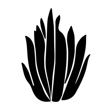 Sansevieria 'nın beyaz arka planda izole edilmiş bir dekoratif bitkisinin Siyah çizim el çizimi vektör çizimi.