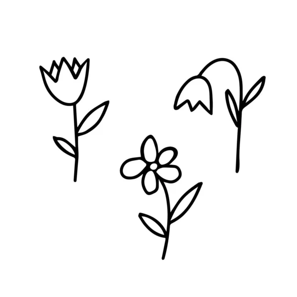 Eine Black Vector Illustration Einer Gruppe Von Drei Verschiedenen Blumen — Stockvektor