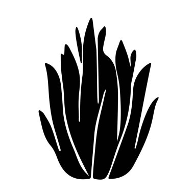 Sansevieria 'nın beyaz arka planda izole edilmiş bir dekoratif bitkisinin Siyah çizim el çizimi vektör çizimi.