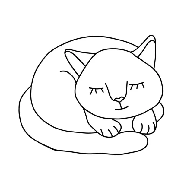 Uma Ilustração Vetor Preto Desenhada Mão Retrato Belo Gato Jovem —  Vetores de Stock