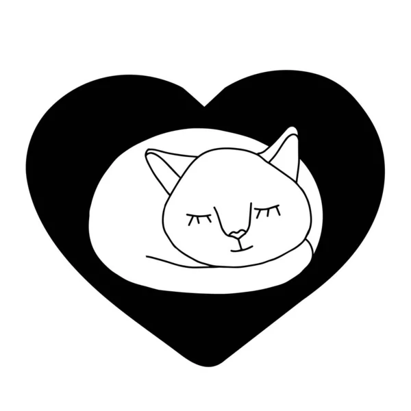 Ręcznie Narysowany Czarny Wektor Ilustracja Portret Pięknej Zabawy Dorosły Kot — Wektor stockowy