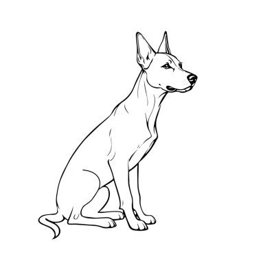 Yetişkin bir köpeğin güzel bir el çizimi tasviri çocuklar için boyama kitabı için beyaz bir arka planda oturuyor.