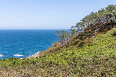 Yazın sahilin muhteşem manzarası.