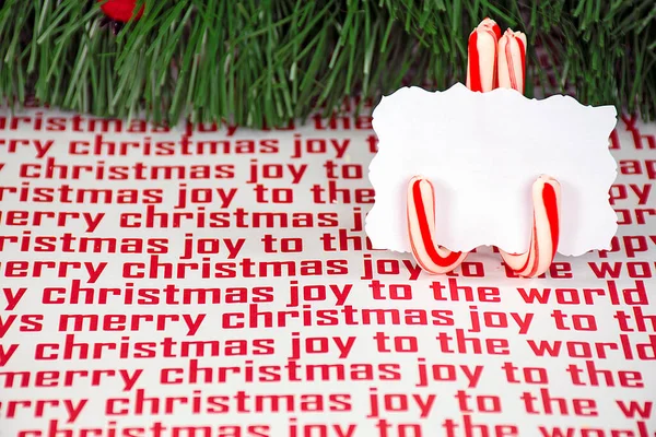 Λευκή Κάρτα Θέση Για Χριστούγεννα Καραμέλα Κάτοχος Ζαχαροκάλαμου Πεύκο Γιρλάντα — Φωτογραφία Αρχείου