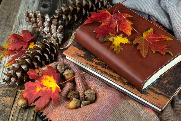 Brown leather journal with a book, acorns, pine cones, and autumn leaves on a blanket