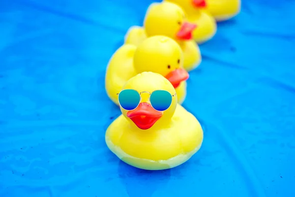 Žlutá Gumová Kachna Modrým Gradientem Slunečních Brýlí Modrém Brodícím Bazénu — Stock fotografie
