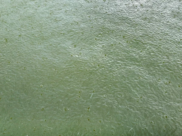 Água Lago Verde Com Padrão Gota Chuva — Fotografia de Stock