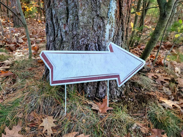 Ground Stake Arrow Sign Tree Trunk Leaves — Zdjęcie stockowe