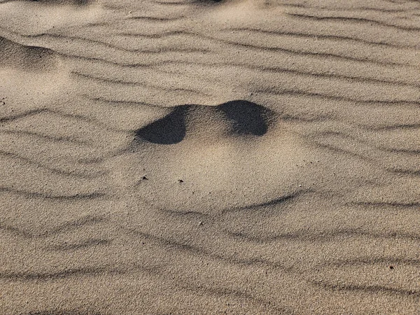 深い目と笑顔を持つユニークな砂のパターン — ストック写真