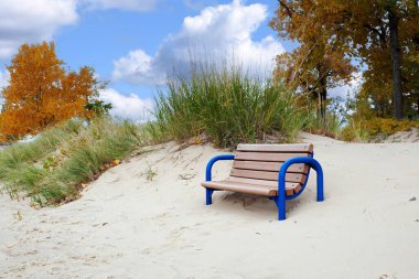 Kumsalda çimenler ve sonbahar ağaçlarıyla dolu boş bir bank.