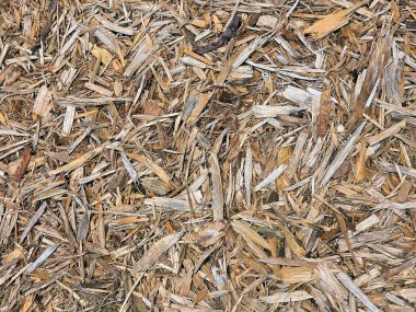 Yoğun bir ahşap kırıntısı tabakası zemini kaplayarak doğal ve kırsal bir görünüm yaratır. 