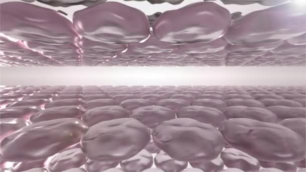 Skin Exfoliation Animation Skin Removing Dry Dead Skin Cells Impurities — Vídeos de Stock