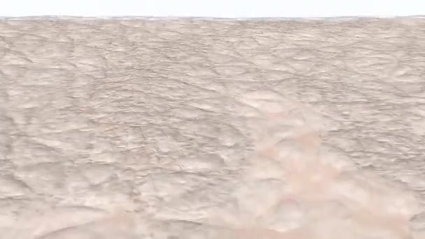 Skin Exfoliation Process Removing Dead Dry Skin Cells Medical Animation — Stock video