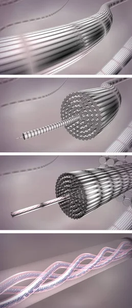 Kolajen fiberler moleküler yapı. Kolajen lifleri, lifler ve amino asit üçlü sarmal moleküllerinin 3 boyutlu çizimleri..