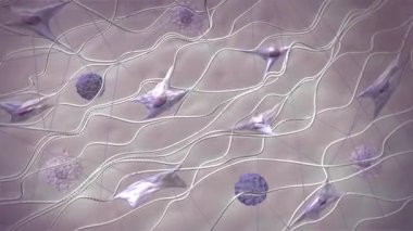 Kolajen fiber yapı, kolajen moleküldeki amino asit üçüzleri, hücre dışı matrisin bileşenleri, insan deri dokuları. Bilimsel 3 boyutlu animasyon 