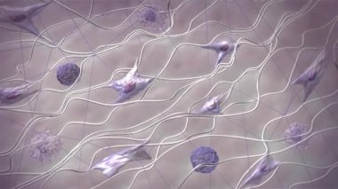 Kolajen lifleri tahribat, cilt yaşlanmaları ve kırışıklıkların görünüşü. Deri dokularının hücre dışı matrise yakınlaşması ve fibroblastlar. 3 Boyutlu Canlandırma