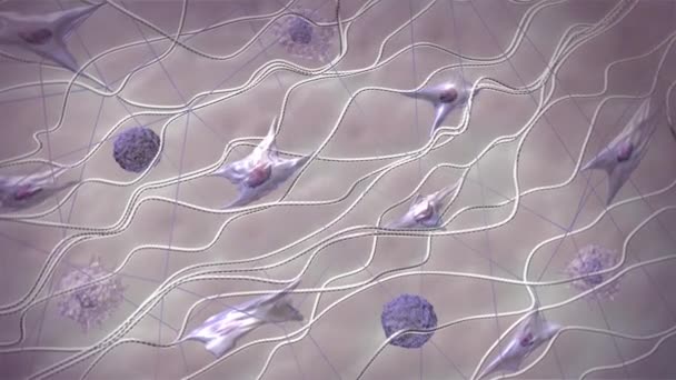 Kolajen Lifleri Tahribat Cilt Yaşlanmaları Kırışıklıkların Görünüşü Deri Dokularının Hücre — Stok video