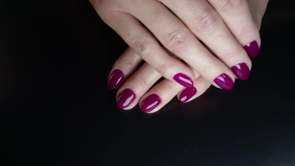 Parlak Mor Renkli Manikürlü Kadın Elleri Kadın Manikürlü Tırnaklarını Siyah — Stok video