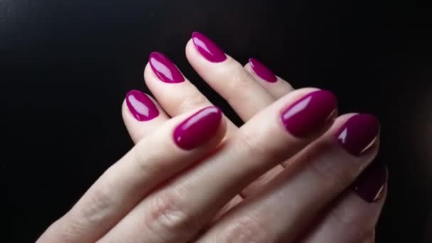 女性的手呈现出完美优雅的指甲和明亮的紫色指甲油的指甲 黑色背景上女性手指的特写 — 图库视频影像