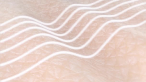 滑らかになり 皮をきつく締めるプロセスをすりつぶして下さい コラーゲンおよびエラスチン繊維の前後に人間の皮は再生します 3Dアニメーションを宣伝するアンチエイジング処理または化粧品 — ストック動画