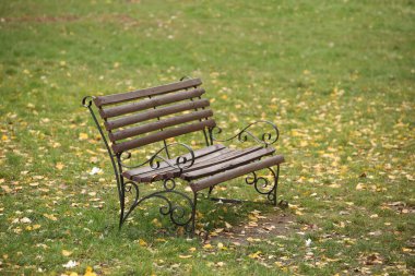 Sonbahar parkında çimlerin üzerinde boş bir bank duruyor. Yaşlılar ve yorgunlar için yolda dinlenecek bir yer. Dinlenmek ve şehir altyapısı dinlenmek için. Ahşap ve metalden yapılmış ürünler.