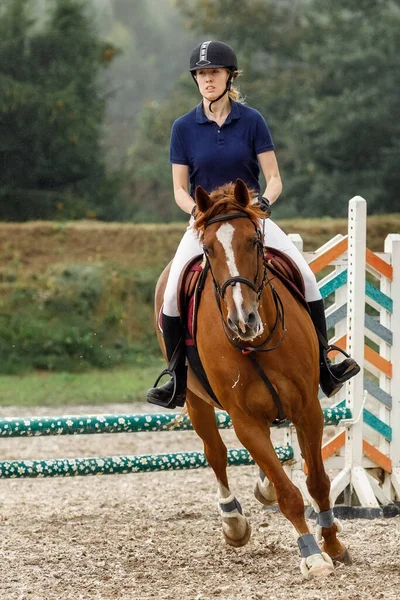 Menina Cavaleiro Jovem Curso Salto Show Competição Esportiva Equestre Foto — Fotografia de Stock