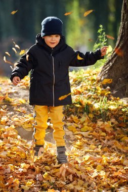 Sonbahar parkında yaprakları olan mutlu sevimli çocuk. Çocukluk, aile ve çocuk kavramı. Mutlu çocukluk.