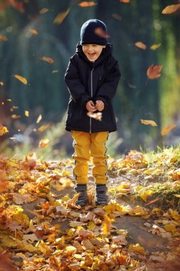 mutlu toddler bebek çocuk düşmüş oynamaktan eğleniyor sonbahar parkta bırakır.