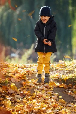 Neşeli çocuk düşen sonbahar yapraklarının arasında eğleniyor. Çocukluk, aile ve çocuk kavramı.