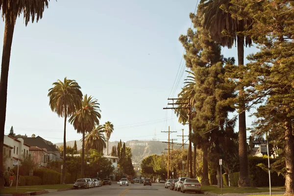 加利福尼亚的棕榈树 道路和好莱坞标志 — 图库照片