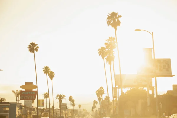 加利福尼亚日落大道上的棕榈树 — 图库照片