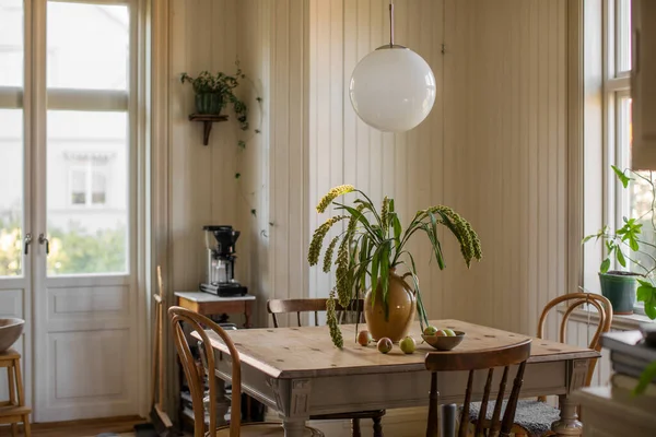 台所のテーブルの上に植えられた植物 — ストック写真