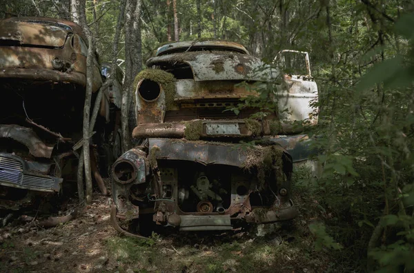 Stos Porzuconych Samochodów Lesie — Zdjęcie stockowe