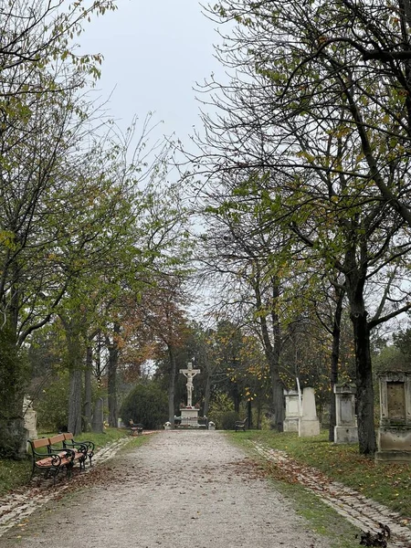 Pionowe Ujęcie Pustej Alejki Starym Cmentarzu Wielkim Kamiennym Krzyżem — Zdjęcie stockowe
