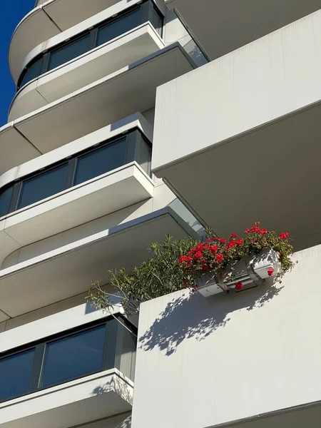 Vasi Fiori Sul Balcone Del Moderno Condominio Con Esterno Astratto — Foto Stock