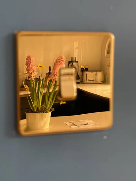 Flower Pot Modern Kitchen Reflecting Golden Lights Switch — Stock fotografie