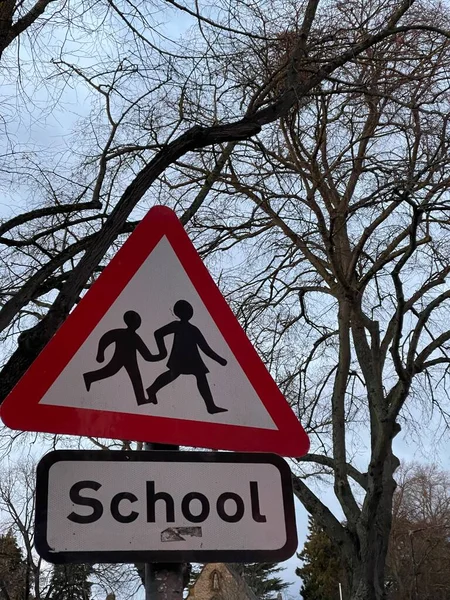 School road sign against blue sky and trees in the city