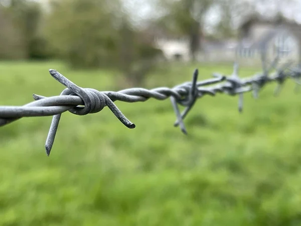 Cropped Close Barbed Wire Green Grass Background — Stock Photo, Image