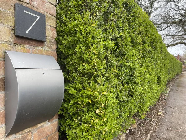 Metal Letterbox Green Hedge Fence — Stock Photo, Image