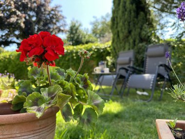 Arka bahçedeki kırmızı çiçeklere, arka plandaki bahçe sandalyelerine odaklan.