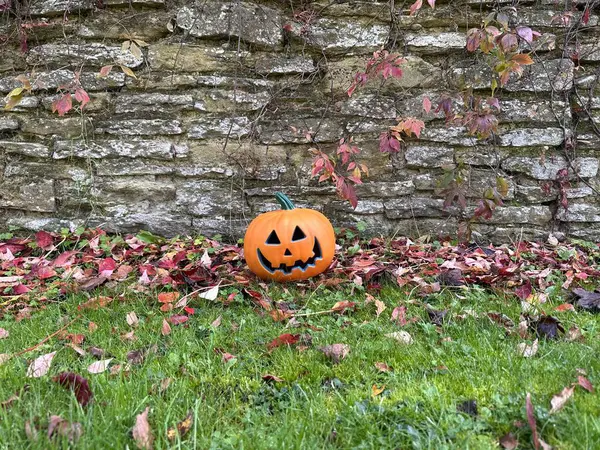 Abóbora Halloween Jardim Outono Perto Parede Pedra — Fotografia de Stock